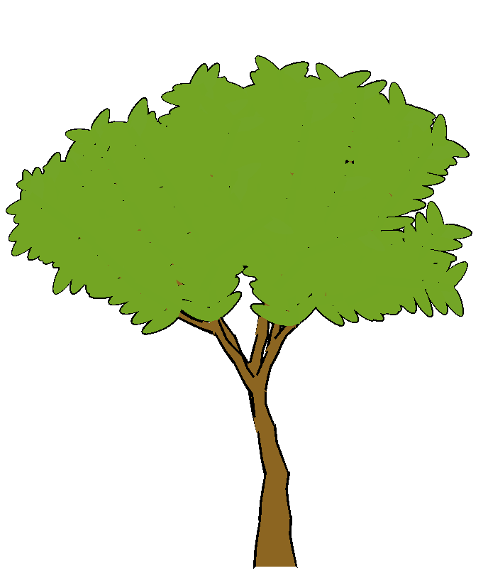 Rendering Artistic and Believable Trees for Cartoon Animation