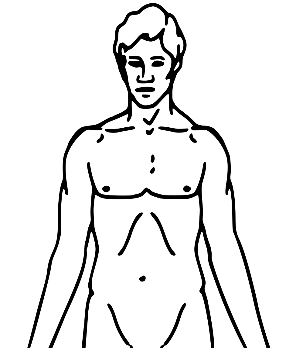 File:Pioneer plaque man upper body as diagram template ...