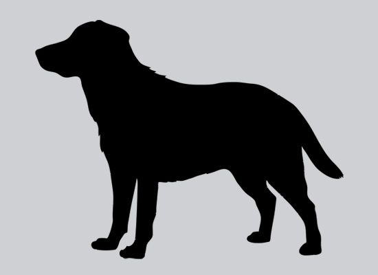 Labrador Silhouette | Release The Hounds