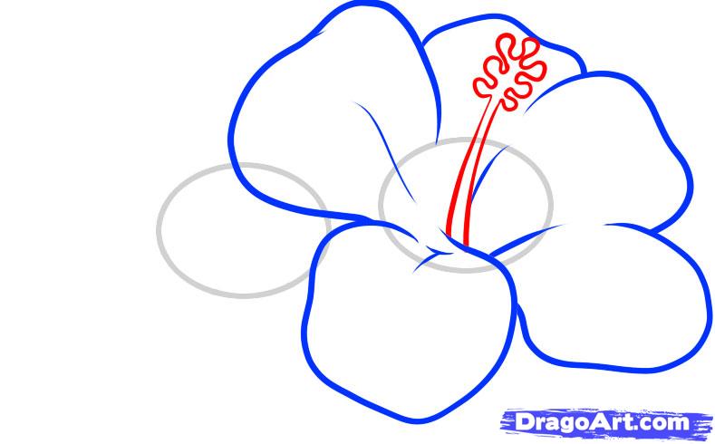 How to Draw Hawaiian Flowers, Step by Step, Flowers, Pop Culture ...