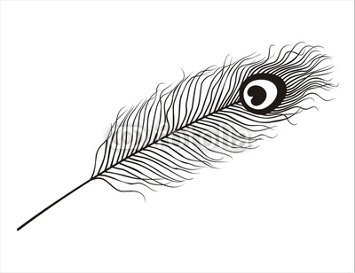 peacock feather" Stock image and royalty-free vector files on ...