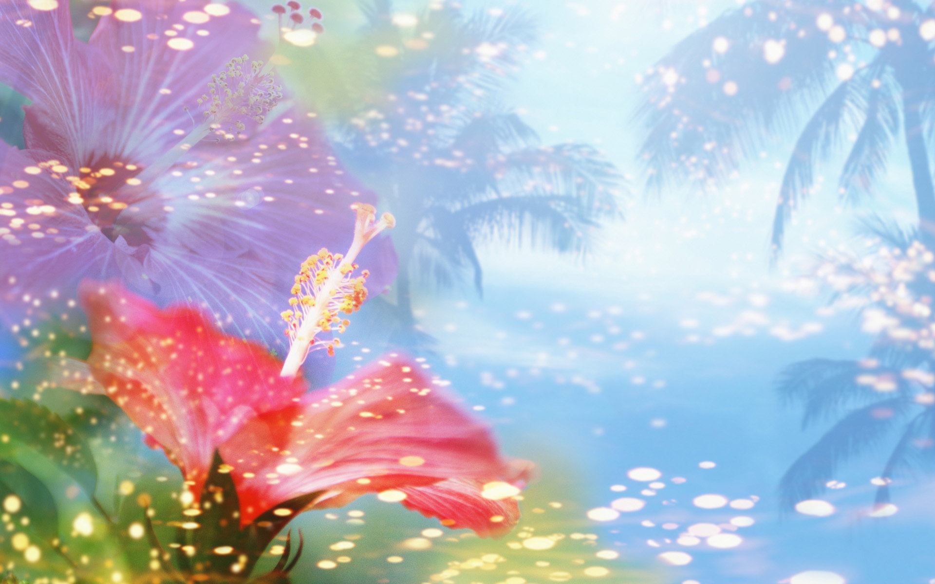 Animated Images Of Flowers images & pictures - NearPics