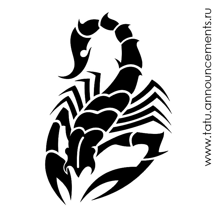 Scorpion Drawing Outline Pictures Clipart - Free Clip Art Images