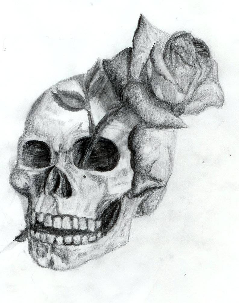 Drawing Of Skulls | Coloring Page