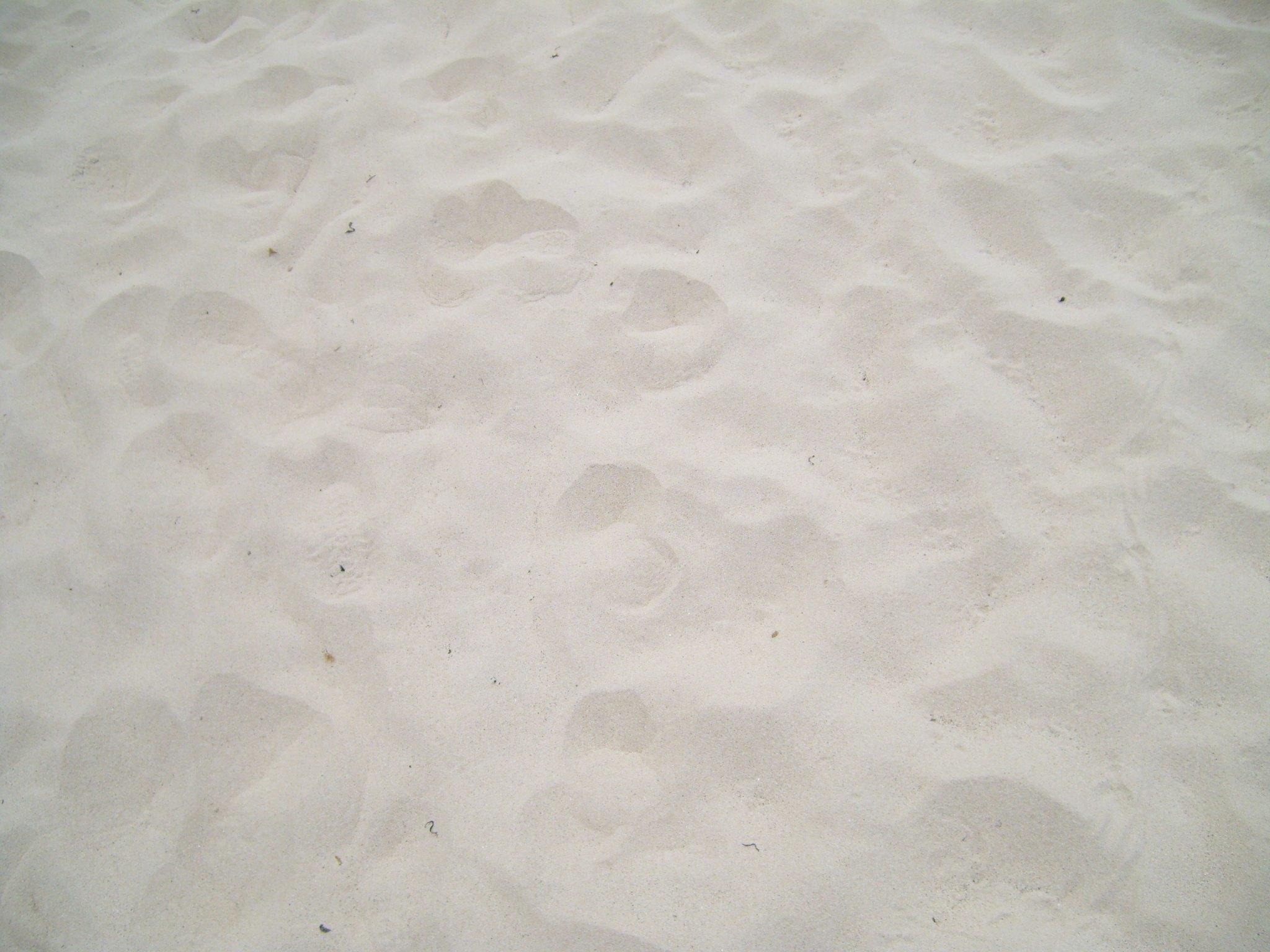 File:White sand.jpg - Wikimedia Commons