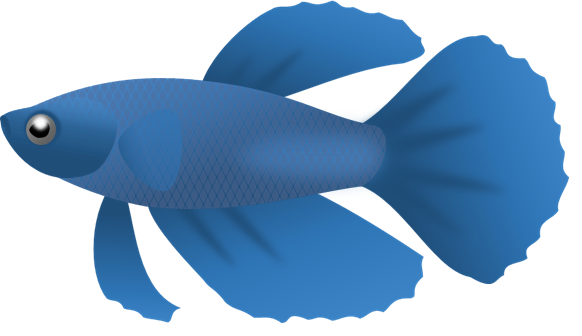betta 003 | Royalty-Free fish clip art - A small fish