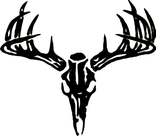 Deer Skull Clipart - Gallery