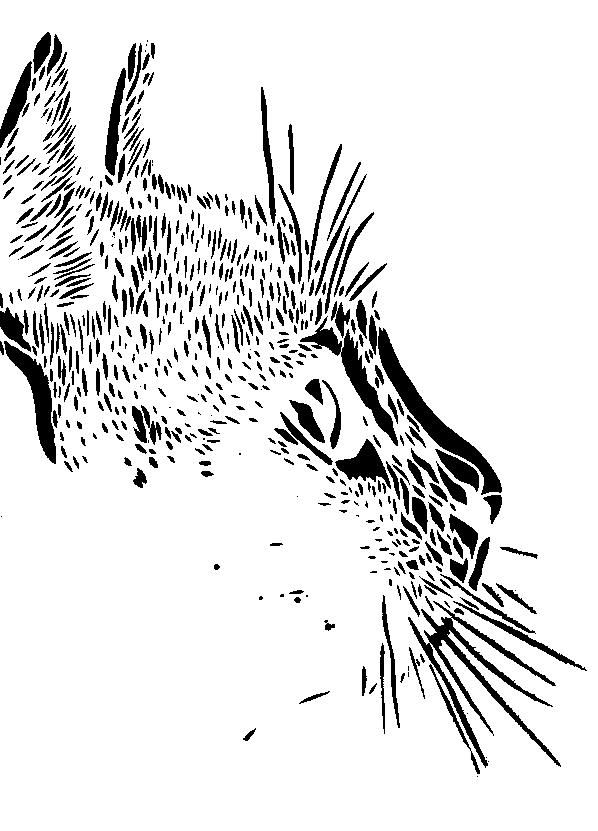 Stencil Templates on Pinterest | Stencil, Daft Punk and Skull Stencil