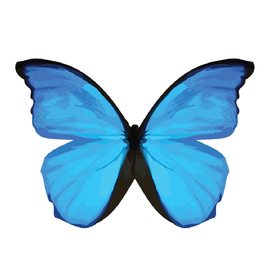 Butterflies Blue Butterfly Icon - Free Icons