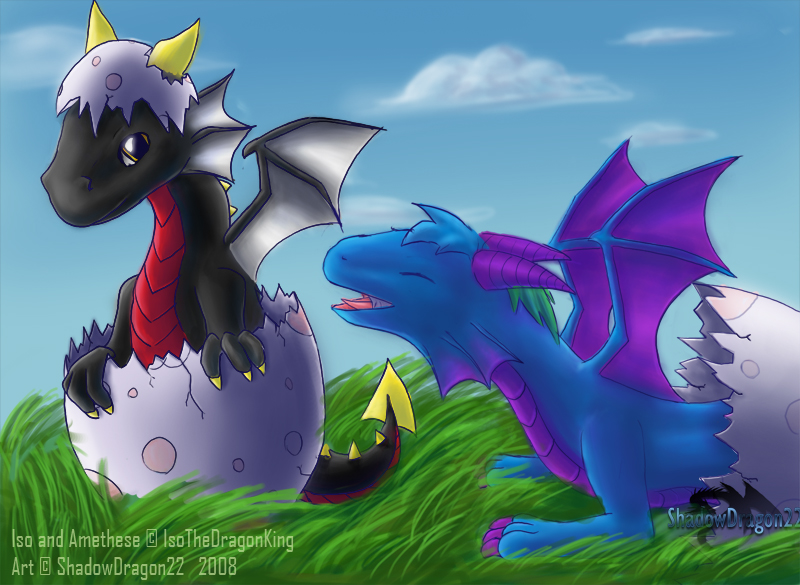 Baby Dragon by meiji1990 on DeviantArt