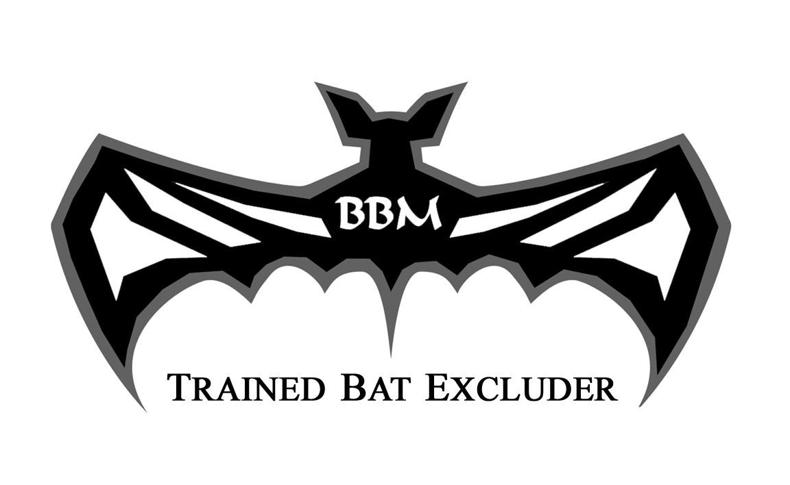 Trained Professional Bat Excluders for Homes and Buildings