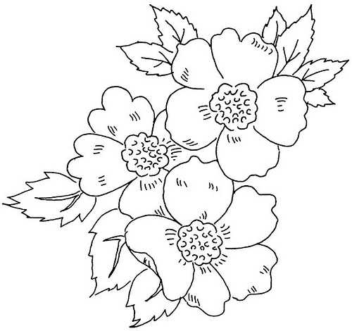 Decorative Floral Designs And Motifs images
