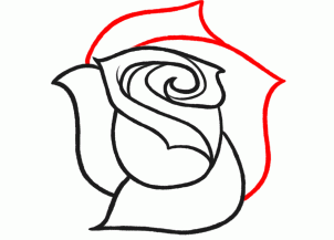 How to Sketch a Rose, Step by Step, Sketch, Drawing Technique ...