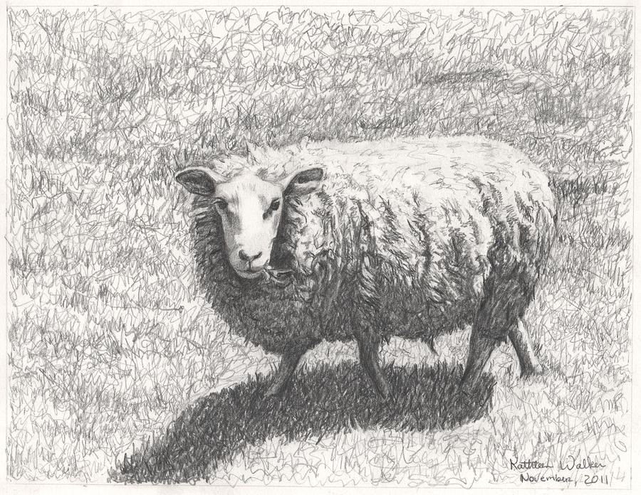 Sheep by Kathleen Walker