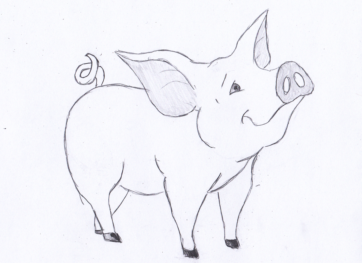 Pig Drawing Lesson | How to Draw a Pig in Just 4 Simple Steps?