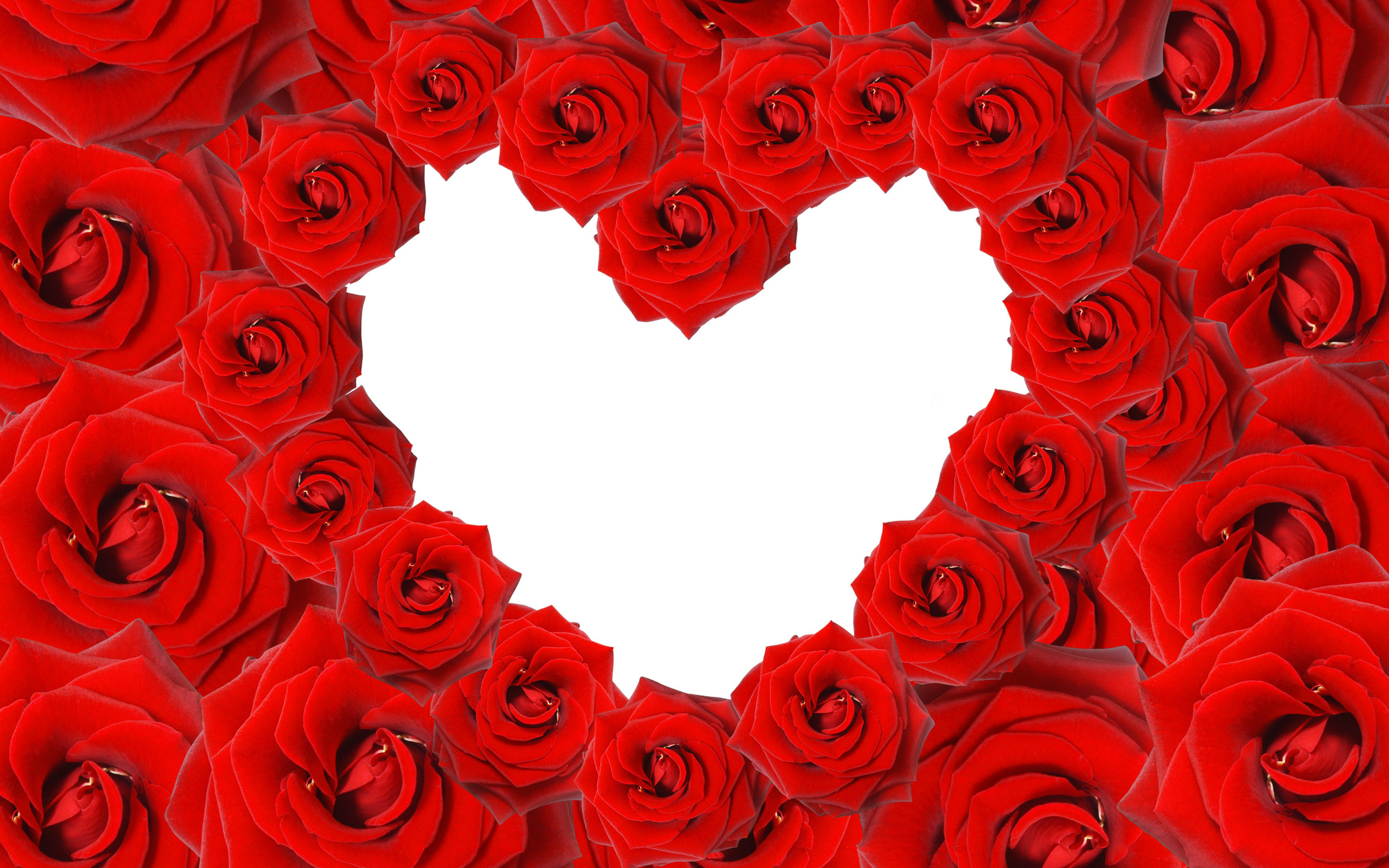 Red Roses Love Heart #6953818