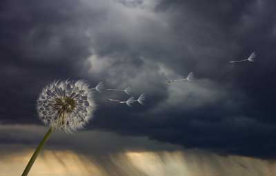 Is there really a calm before the storm? - HowStuffWorks