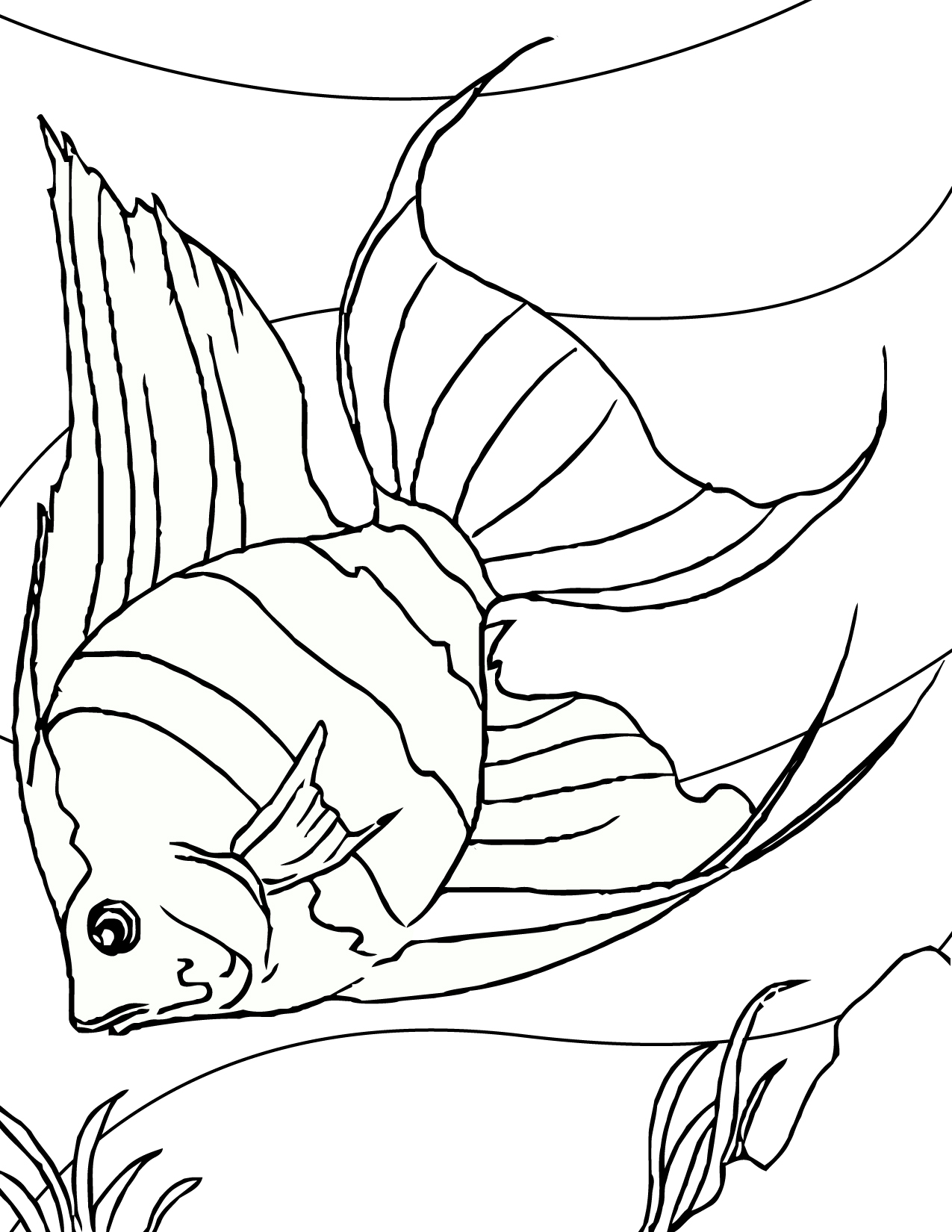 Trends For > Rainbow Fish Coloring Pages For Kids