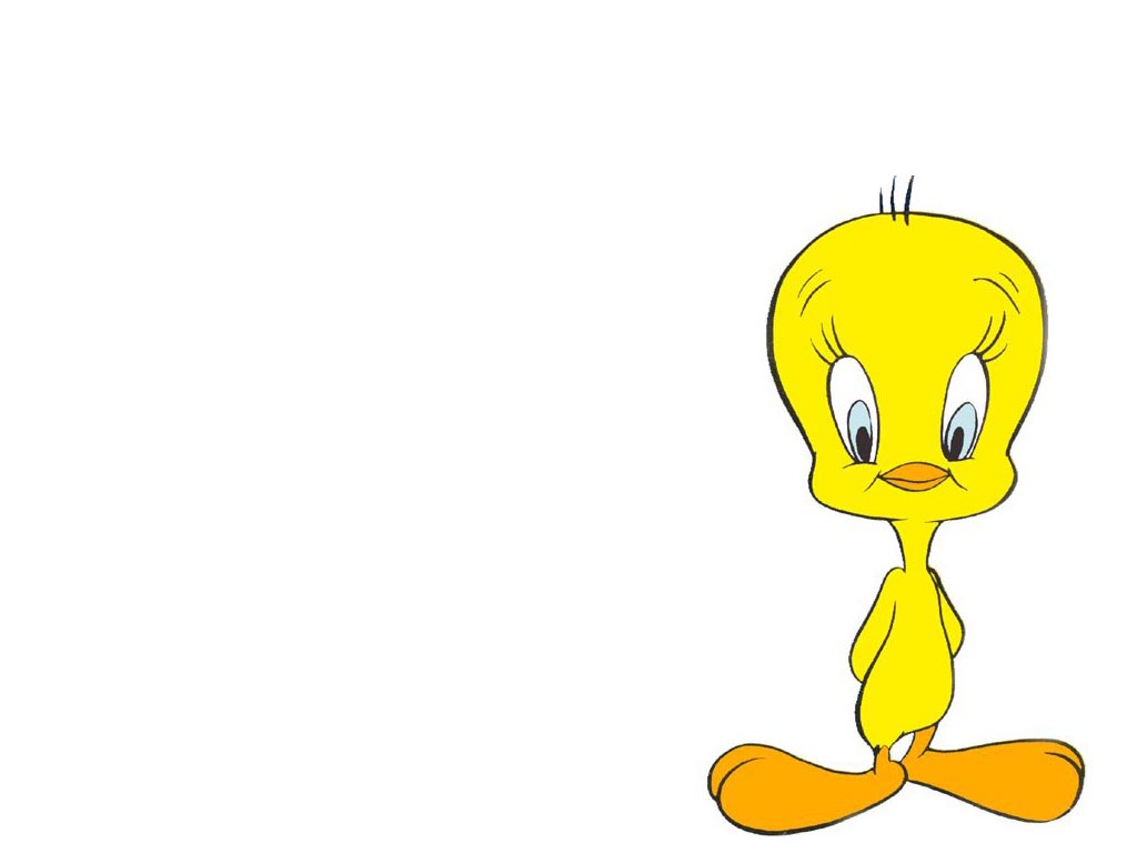 Tweety - Warner Brothers Animation Wallpaper (71684) - Fanpop