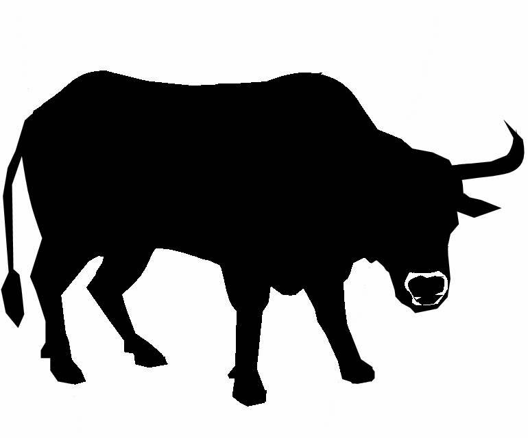 This & That: The Bull Run