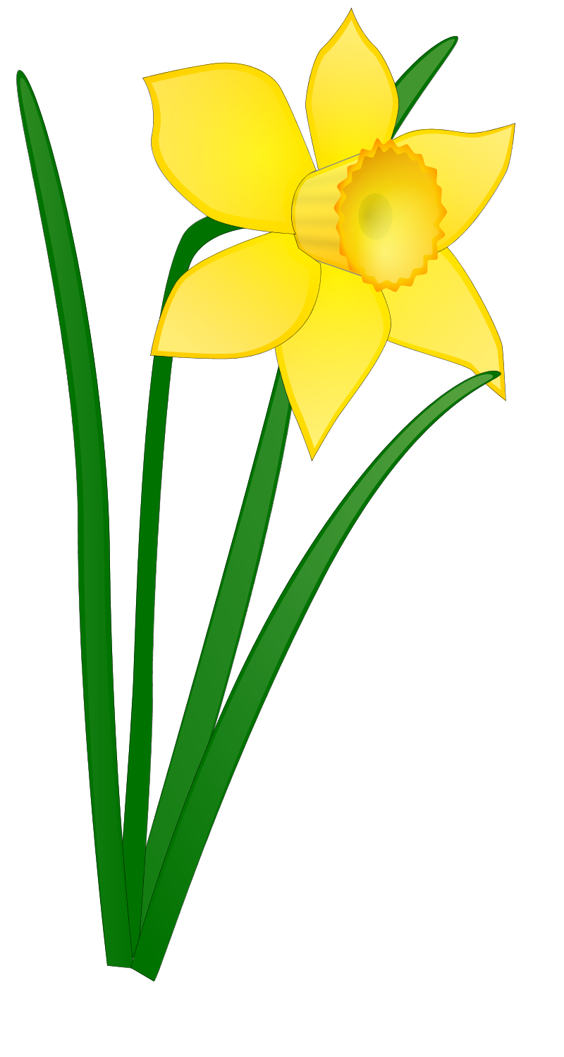 Flowers For > Flowers Clip Art