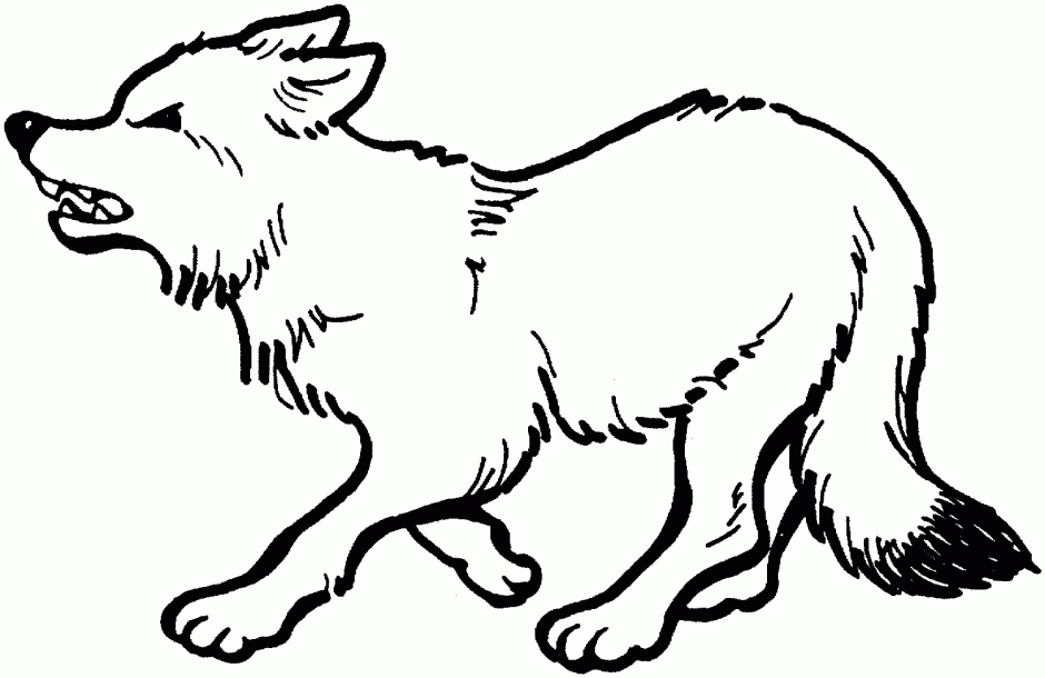 Realistic Fox Coloring Pages Printable Coloring Sheet 99Coloring ...