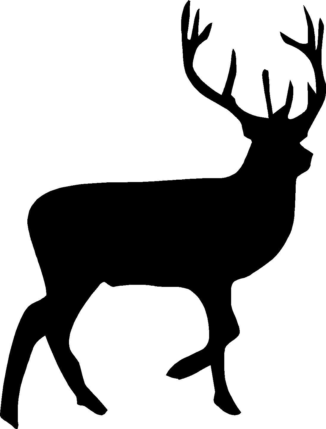 Images For > Buck Head Clipart