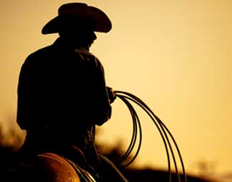 Cowboy Hats and western wear since 1973. WesternHats.com