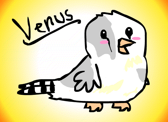 Chibi Zebra Finch Cycle: Venus by Phoenix-of-Starlight on deviantART