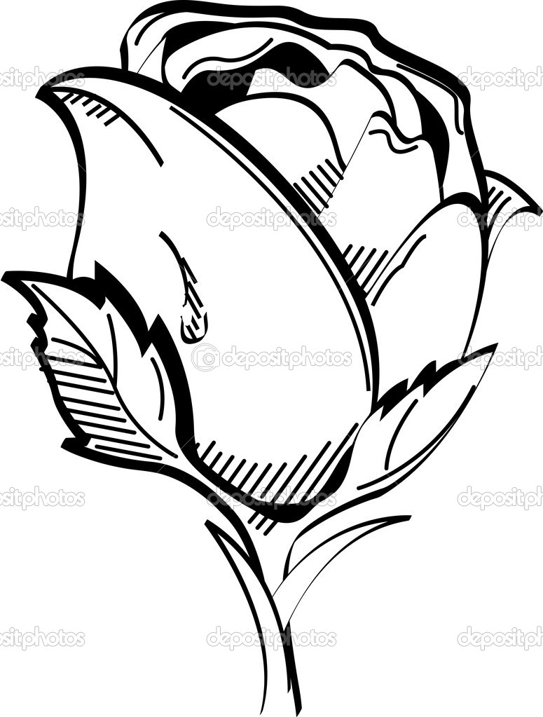 Single Rose Black And White | Clipart Panda - Free Clipart Images