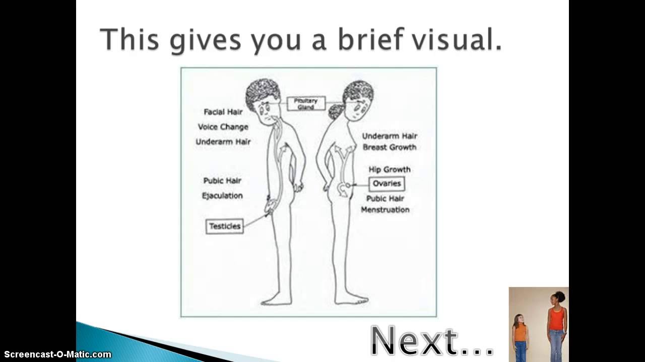 Puberty For Girls - What's happening to my body? - YouTube