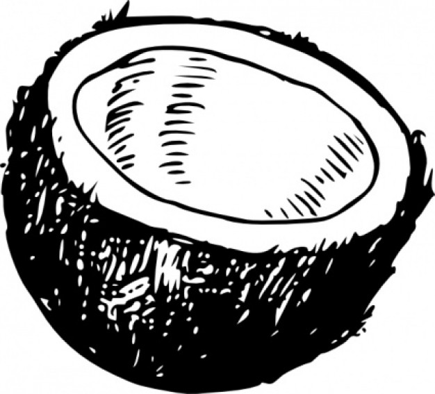 Coconut 20clipart | Clipart Panda - Free Clipart Images