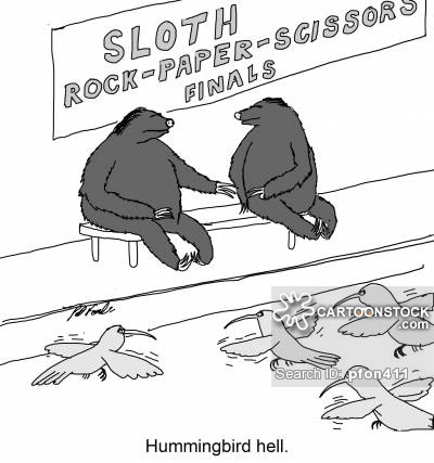 Hummingbird Cartoons and Comics - funny pictures from CartoonStock