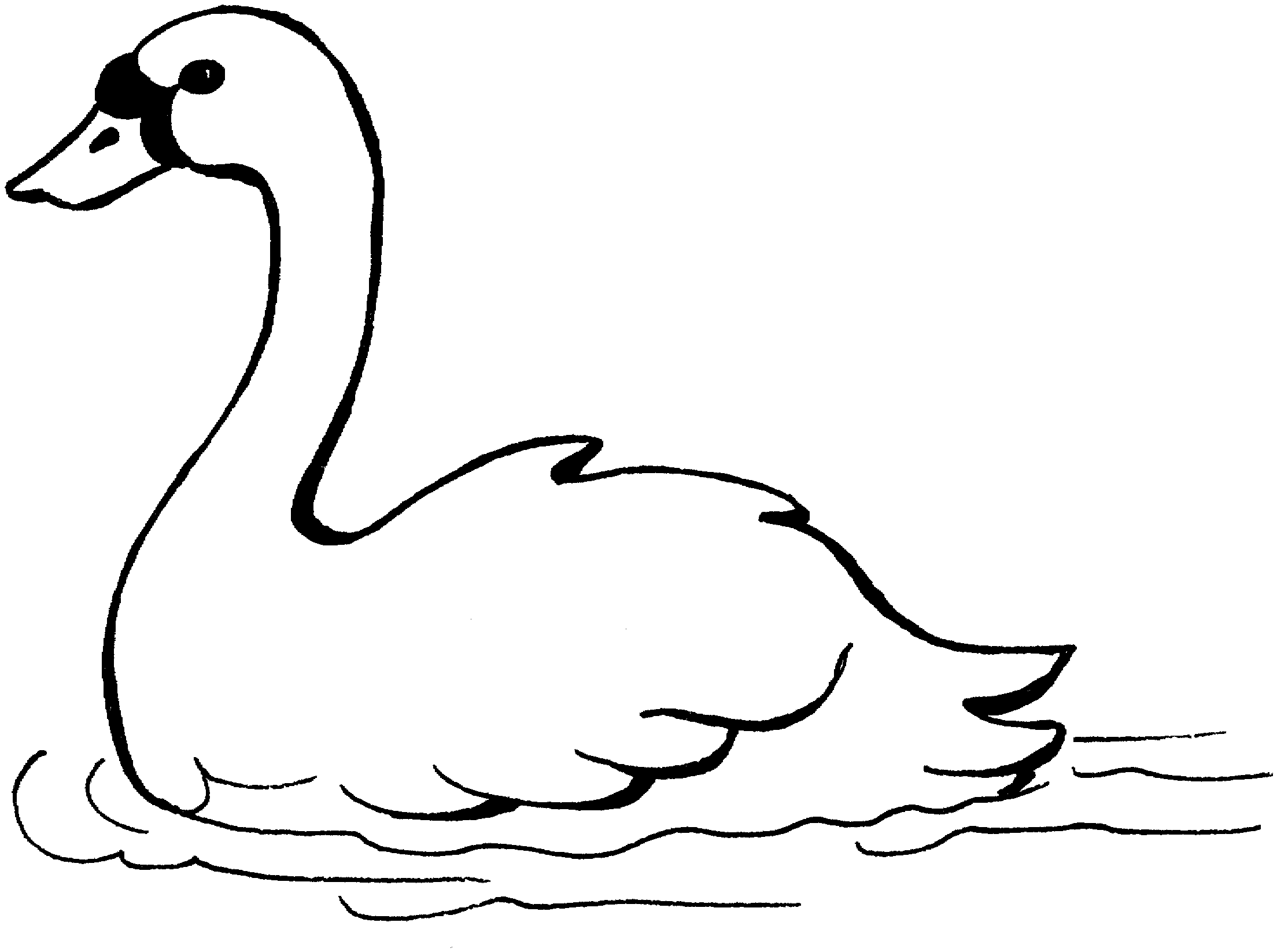 Coloring Book - Circle D Wildlife Refuge