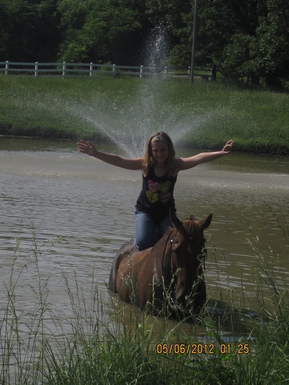 Black Knight Stables: Horse Boarding Farms in Farmington, Missouri