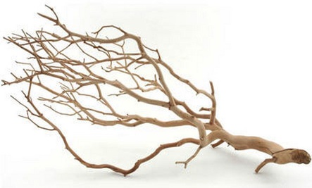 Paint Branches n' Sticks, Kids Art Project, Earth-Friendly Art ...
