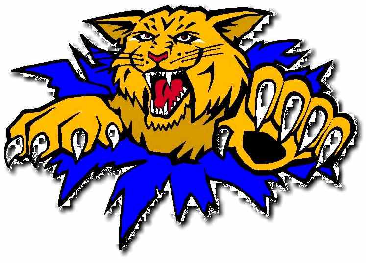 C&C for Wildcat Logo Please - Concepts - Chris Creamer's Sports ...