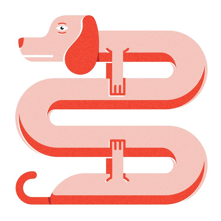 Pin by Chucho A.Nieto on Chucho : Lettering and illustration and dail…