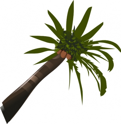 Palm Tree clip art - Download free Other vectors