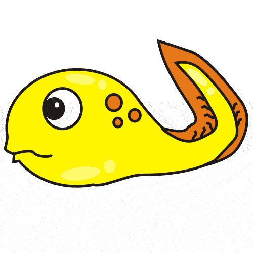 Fish Clipart
