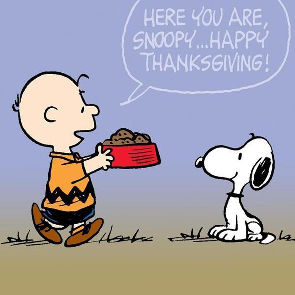 Free Thanksgiving Wallpapers for iPad & iPad 2: Giving Thanks ...