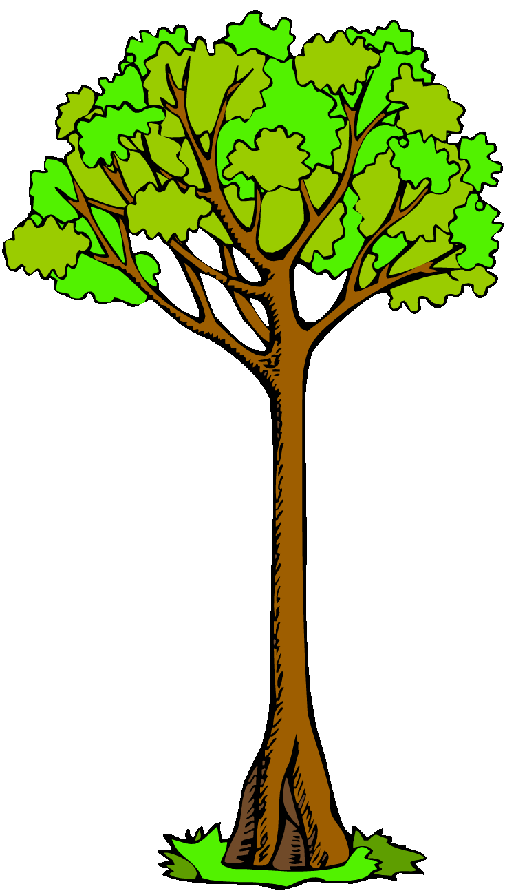 Clip Art Tree - ClipArt Best