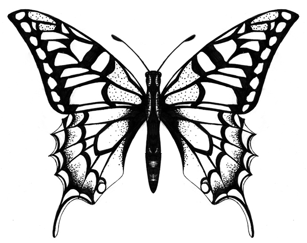 Butterfly Lineart - Cliparts.co