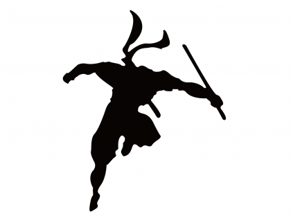 How to Become a Ci Search™ Ninja (Advanced) | Customs Info