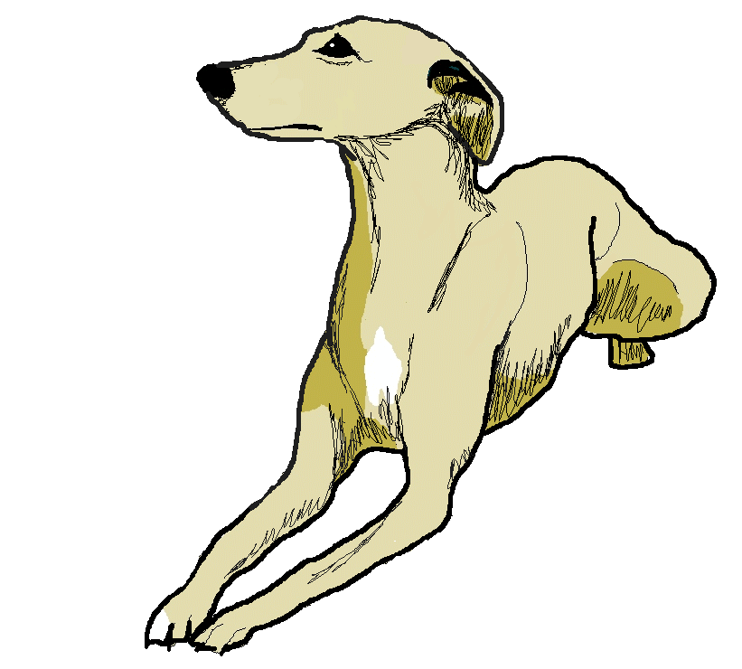 A DOG'S PRAYER