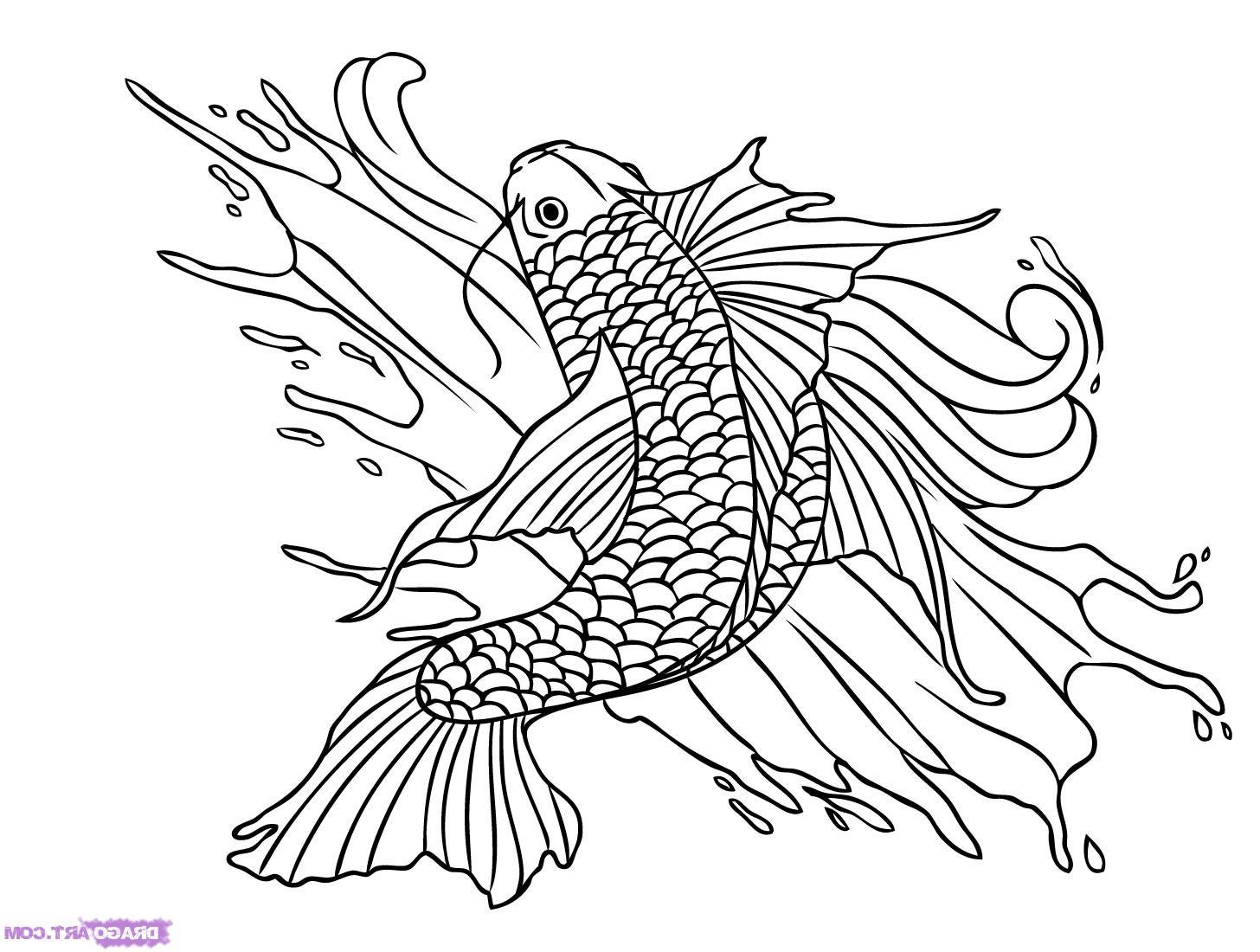 Fish Drawings Related Keywords & Suggestions - Fish Drawings Long ...