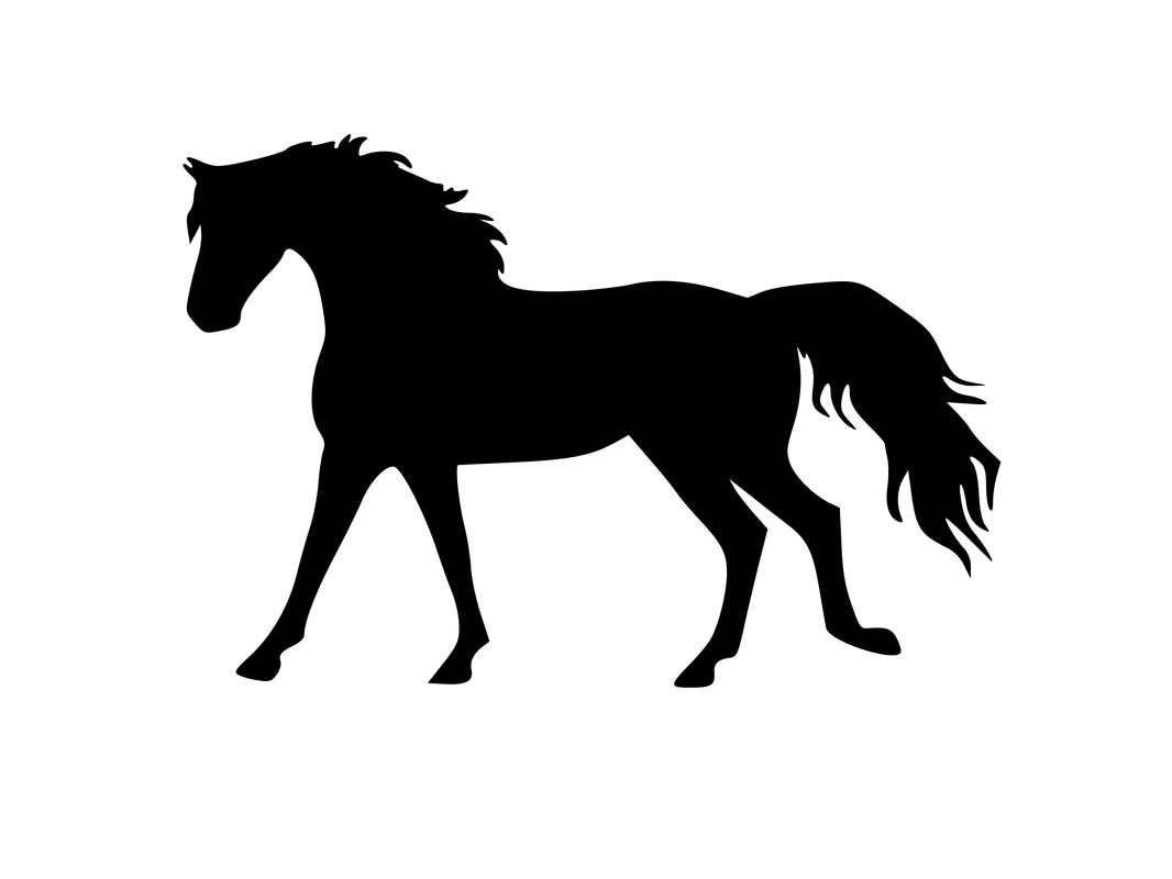 Silhouette - Aluckyhorseshoe.com