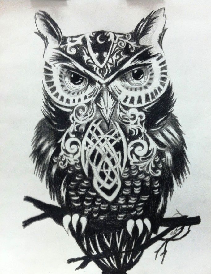 black & white owl | tattoo | Pinterest