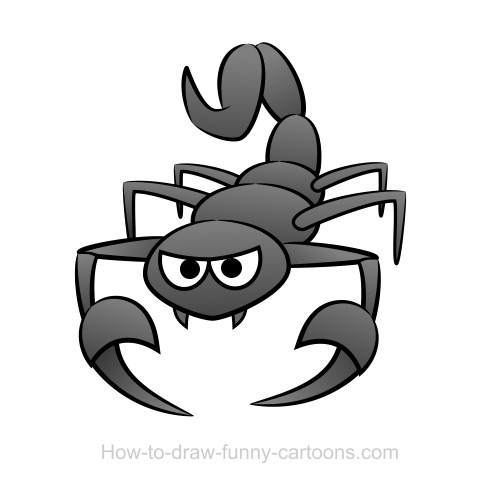 Drawings of scorpions (Sketching + vector)