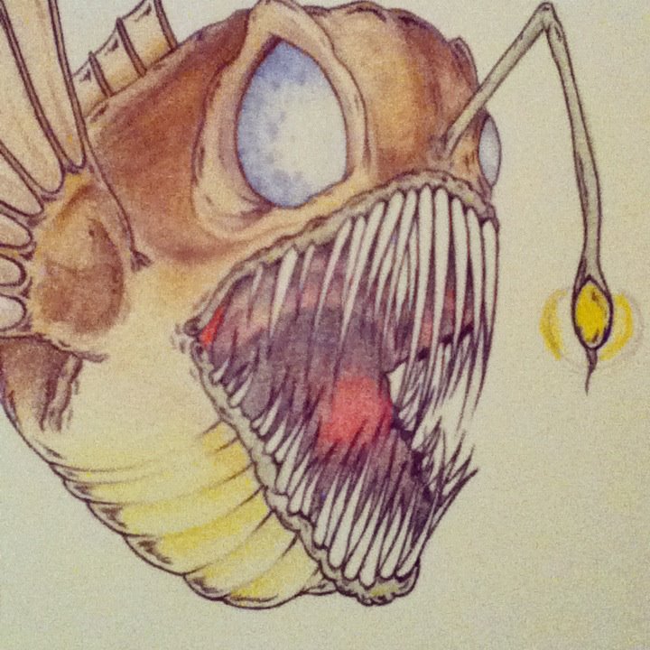 Fish Drawing Colouring images